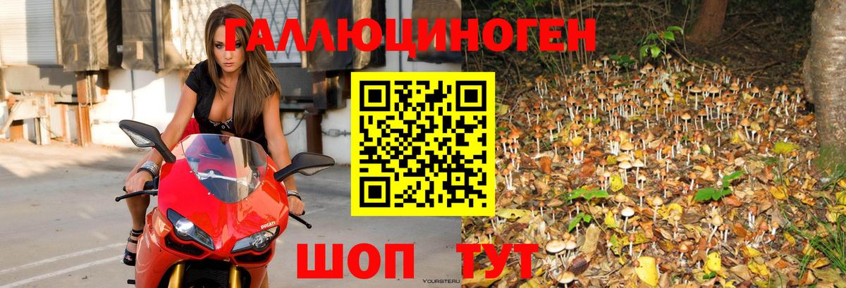 Псилоцибиновые грибы Psilocybine cubensis  Вход с VPN  Артём 